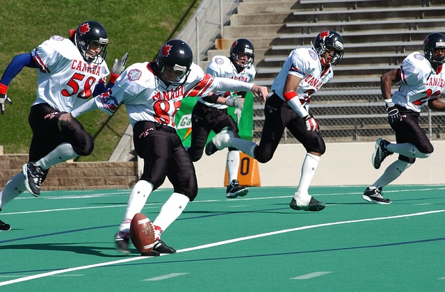 来了激动与 来了激动与