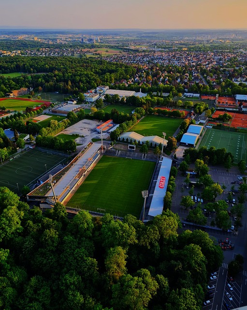 他们将通过 他们将通过