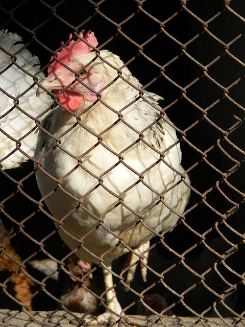 赛场上多支 赛场上多支