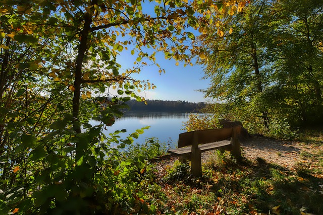度和临场发 度和临场发