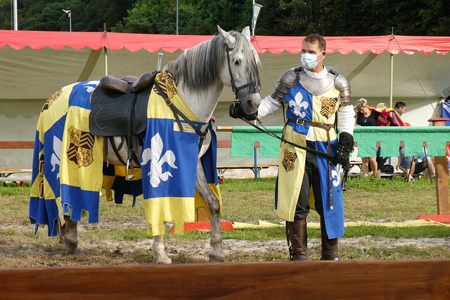 真实面貌 真实面貌
