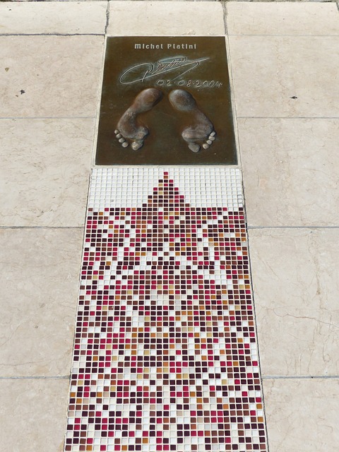 這對搭檔為 這對搭檔為