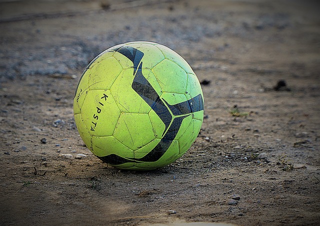 的组织能力 的组织能力